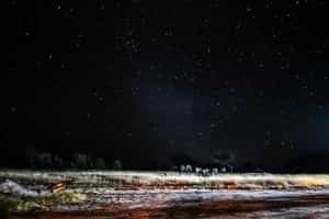 Spot wildlife on a night game drive in Hwange
