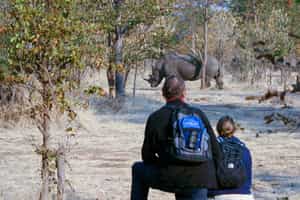Track White Rhino on a walk in Mosi o Tunya