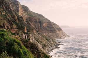 Explore the Cape Peninsula with your own guide