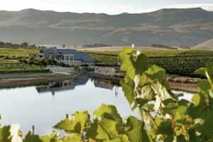 Take a day trip out to Hemel-en-Aarde Valley