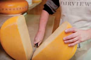 Try cheese and wine pairing in Stellenbosh