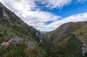 Soar between Stellenbosch's mountains on a zipline
