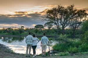 Go on a guided walking safari in Madikwe