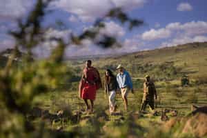 Spot wildlife on a Masai Mara bush walk