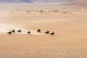 Gallop across the Damaraland desert on horseback