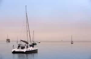 Head out on a catamaran cruise to spot Dolphins