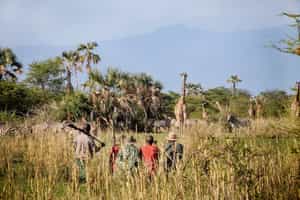 Go on a walking safari along Lake Manyara