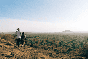 Go on a guided walking safari in Laikipia