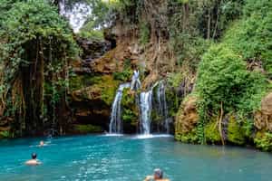 Swim in the blue pools in Ngare Ndare forest