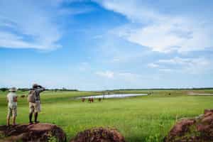 Go on a guided walking safari in Lake Kariba