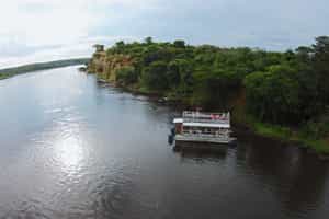 Spot wildlife and the rare Shoebill on a boat trip