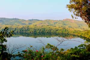 Hike around the crater lakes at Kibale