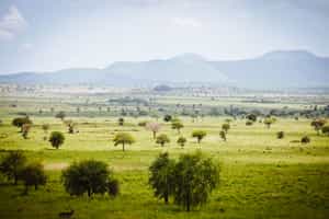 Kidepo Valley National Park