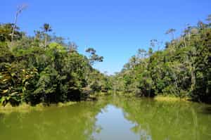 Paddle out on a a Pirogue boat trip in Andasibe