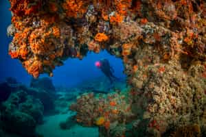 Go scuba diving off Ponta Do Ouro