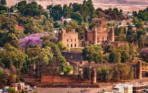 Explore the castles and churches of Gondar