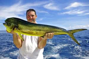 Catch your dinner deep sea fishing from Diani
