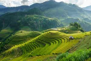 Explore rural Sapa on a hike