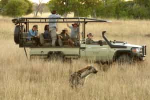 Track Chobe's wildlife on a game drive