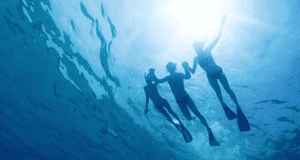 Spot colourful fish snorkelling in Bazaruto