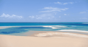 Take a guided drive to explore the Bazaruto island