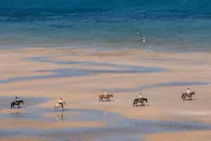 Gallop along Vilanculos beach on a horseback ride