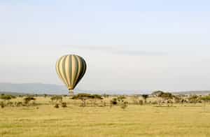 Go on a hot air balloon safari in Queen Elizabeth