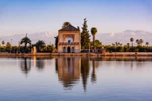 Explore the famous gardens and parks of Marrakesh