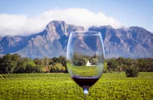 Go wine tasting in the winelands of Cape Town