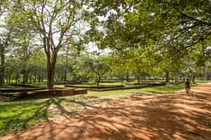 Cycle the trails of historic Anuradhapura