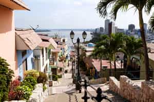 Take a city tour of Guayaquil 