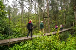 Hike through the fields, forests and mountains