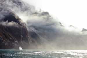 The Galapagos Islands