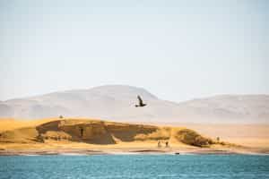 Follow the Paracas reserve mountain bike trails