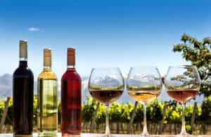 Go wine tasting in The Wine Valleys