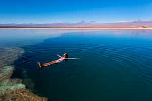 Float in the waters of Tebinquinche Lagoon, Atacama