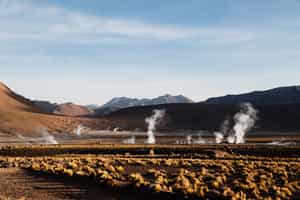 Walk among spurting geysers at El Tatio in Atacama
