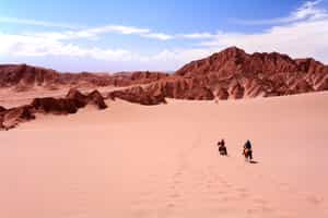 Go on horseback safari through the Atacama Desert