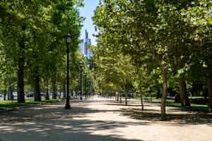 Walk along the paths of Forestal Park, Santiago