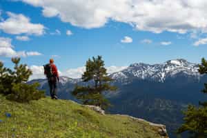 Hike through Villarrica National Park