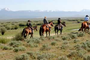 Join the gauchos on horseback in the Aysen region