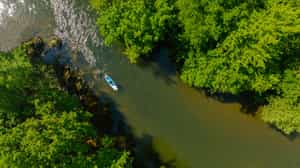 Paddleboard on the amazon river in Pacaya Samiria