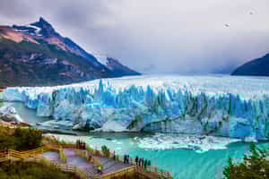 Discover Perito Moreno on a day excursion