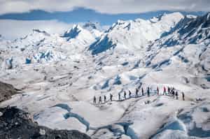 Go on a glacier trek in El Calafate 