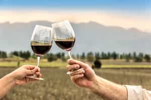 Go on a wine tasting tour in Mendoza