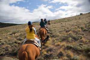 Explore Bariloche on horseback