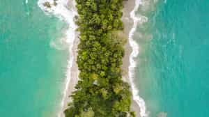 Enjoy the Pacific coast beaches of Manuel Antonio