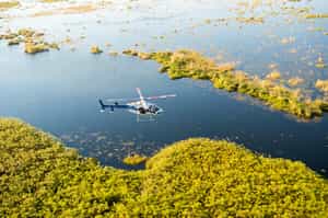 Helicopter safari from the sky in Moremi