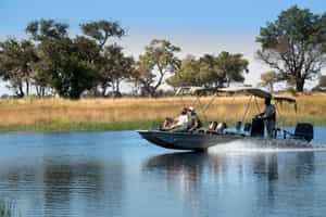 Gaze at wildlife from a boating safari in Khwai