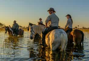 Go on a horseback safari in the Okavango Delta